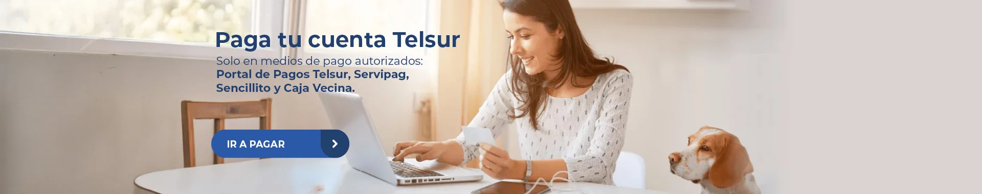 Medios de pago